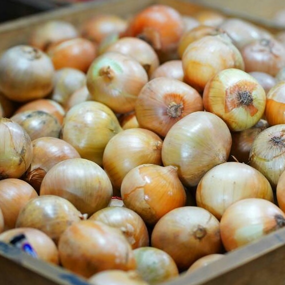 

NZMJ9526 【FSASH SALE】 Bawang Bombay 500 gr