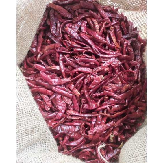 

CYFV0548 Ready Stok Cabe TEJA Merah Kering 1kilogram Dijamin Pedas Dan Fresh