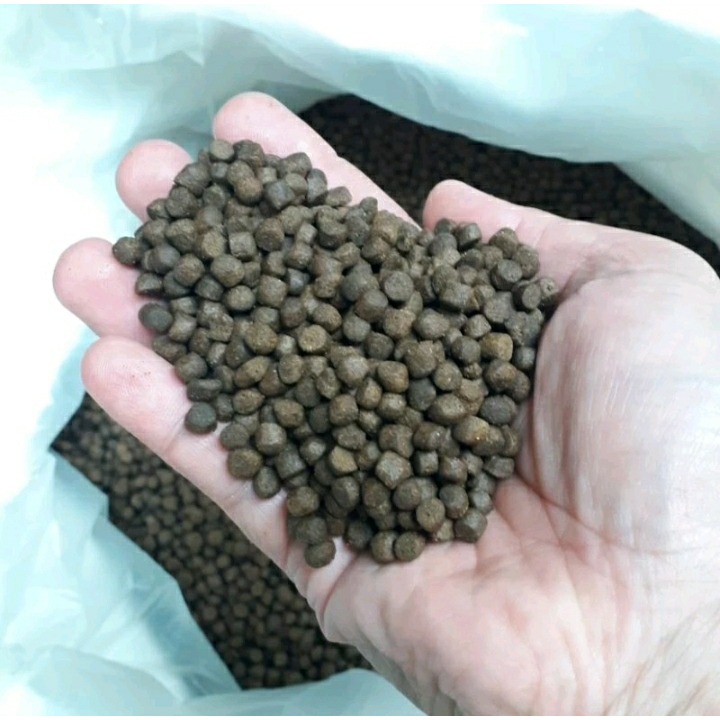 kjg STP KAE JAPFA PAKAN MAKANAN PELET IKAN KOI KAKAP TAWAR 5 KG PREDATOR