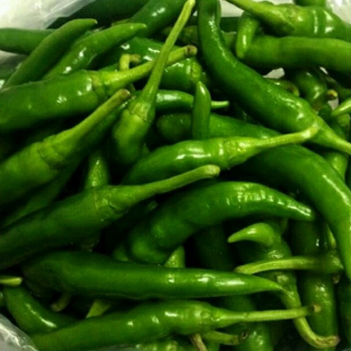 

TIPE CYW924 Cabe /Cabai Ijo Besar 500 gram