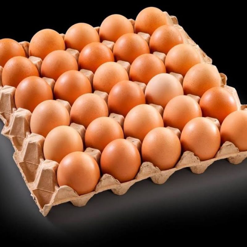 

Telur Omega 3 - 1 Tray (isi 30 butir)