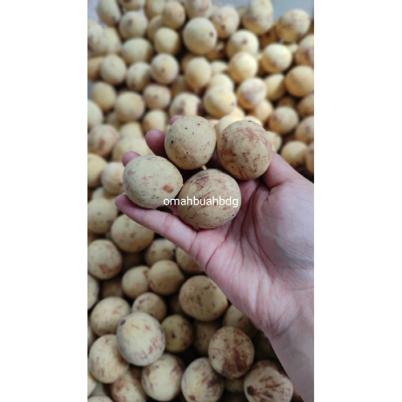 

Dukuh Buah Lokal Segar Bandung