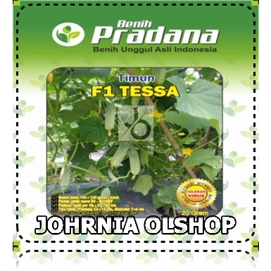 Johrnia 10 Benih Biji Timun TESSA F1