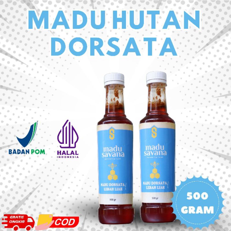 

Madu Hutan Savana Lebah Dorsata Murni Asli