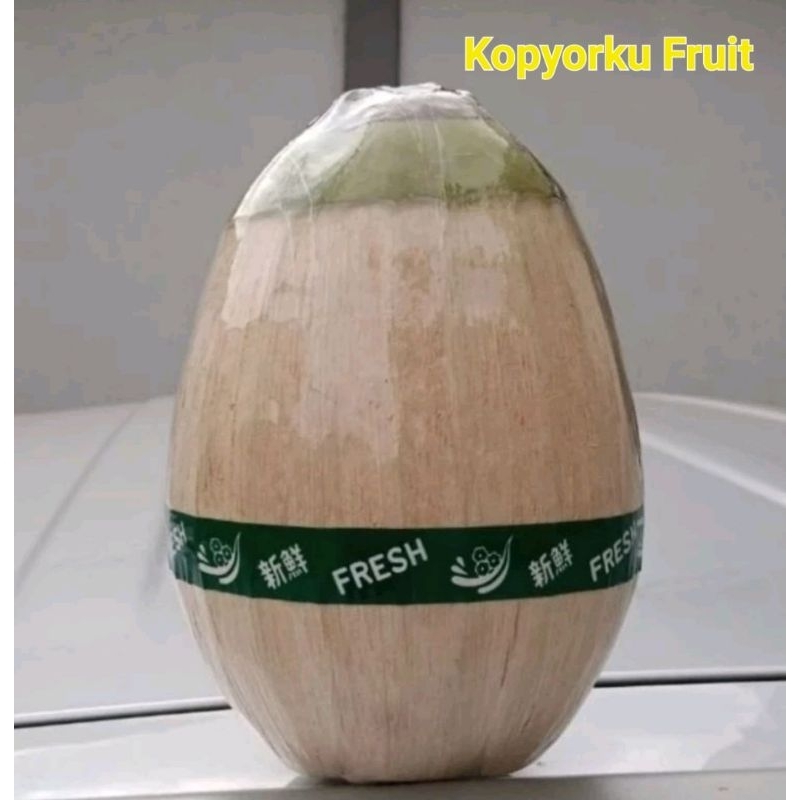 

Kelapa Kopyor Grade D