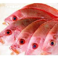 

IKAN KAKAP MERAH _ 1KG