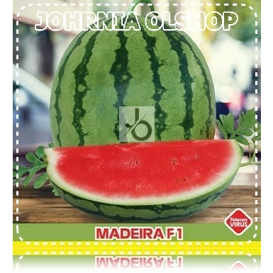 Johrnia 2 Benih Biji Semangka MADEIRA F1