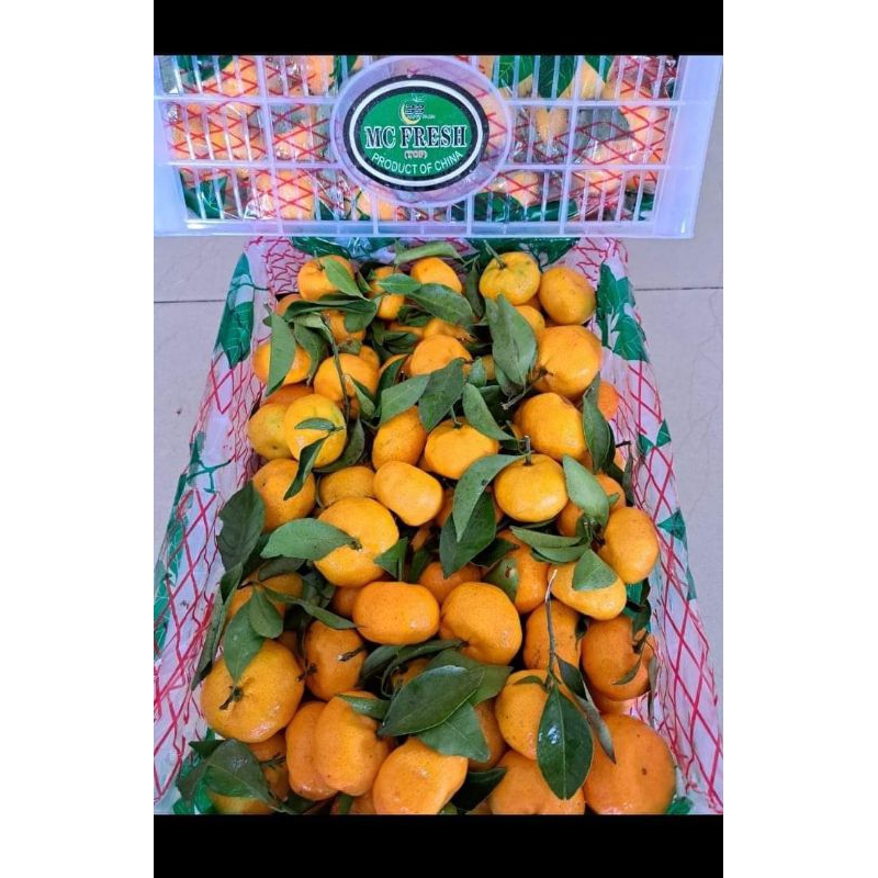 

jeruk santang daun kranjang