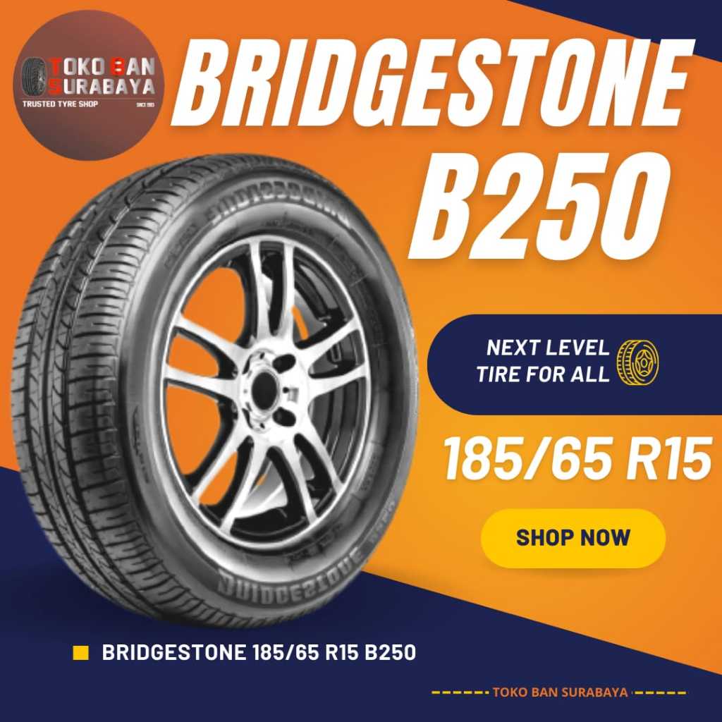ban Bridgestone BS 185/65 R15 18565R15 18565 R15 185/65R15 185/65/15 R15 R 15 B250 B 250