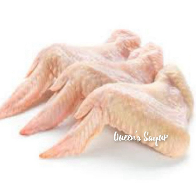 

Sayap Ayam Segar