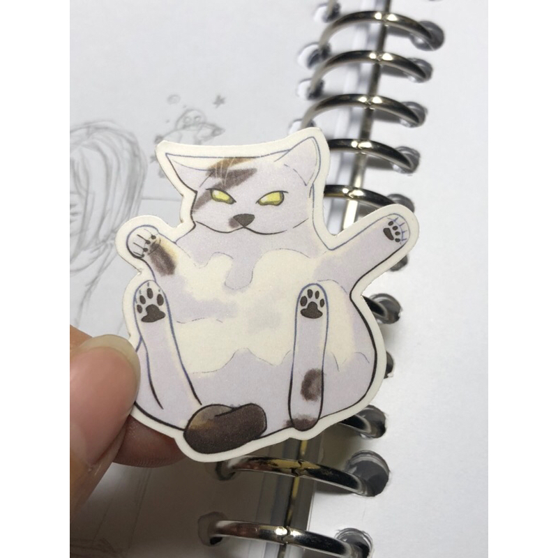 

Vinyl Sticker White Cat | Dekor Laptop Sticker DIY Diary Planner Notebook Scrapbook Aesthetic