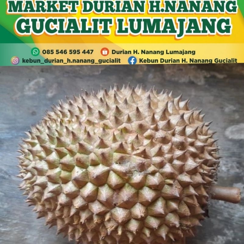 

Durian Susu