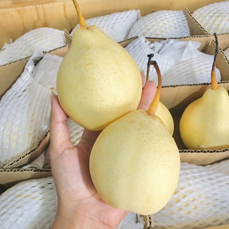 

Pear Yalie hong du Size 96 /Kg