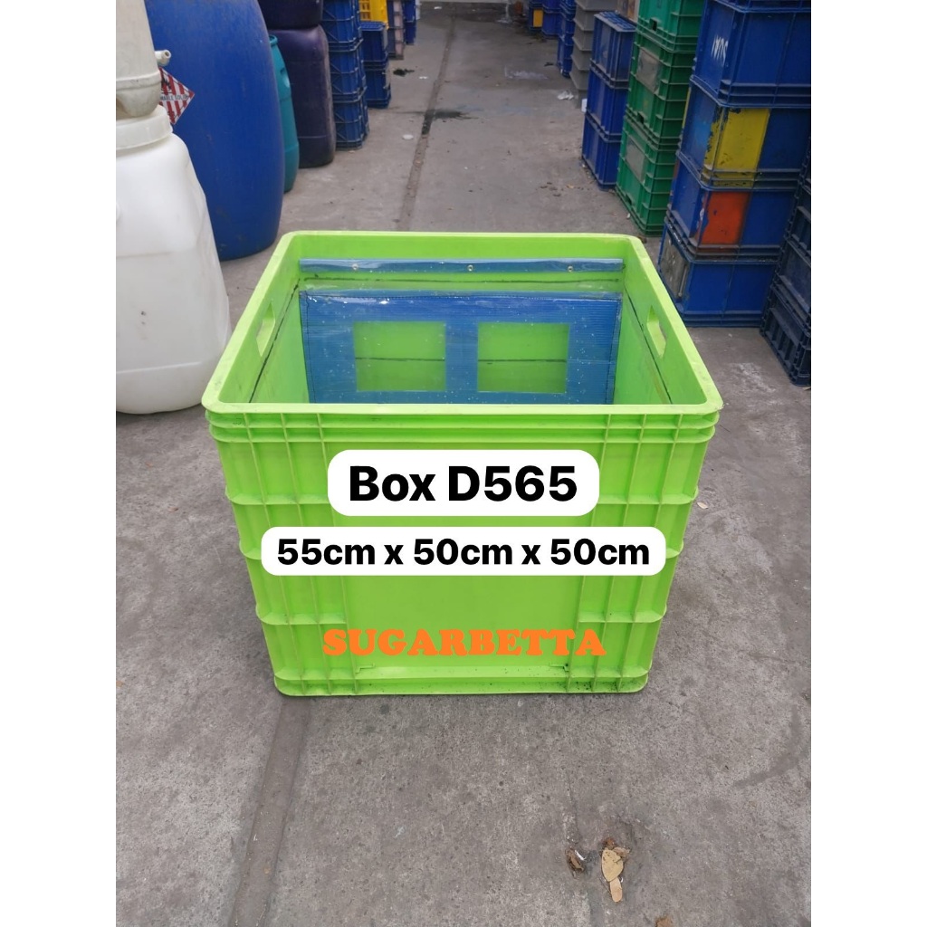 WARNA RANDOM Box Container Plastik Rapat Box Rabbit D565 Bak Ikan Bak Kura Kura