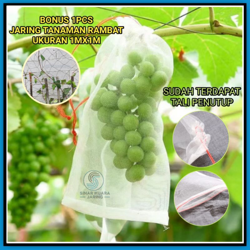 Kantong Jaring Tanaman Buah/Fruit Cover Net/Jaring Penutup Tanaman Buah/Jaring Pohon Buah
