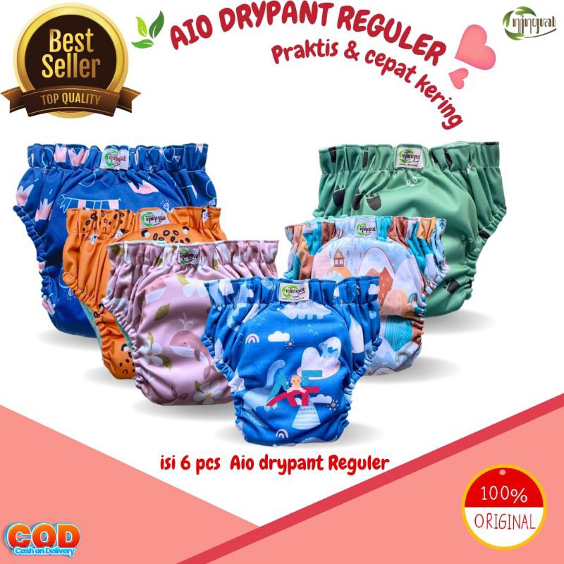 Clodi ningrat Aio drypant reguler Popok Cuci ulang clody  Bayi cloudy celana terlaris