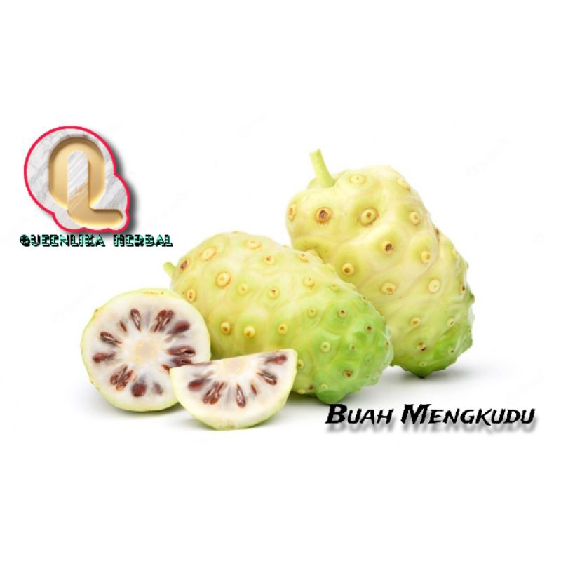 

Buah mengkudu segar (PACE) 1kg