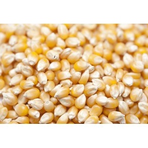 

Terl4ris Jagung Popcorn 1Kg Biji Popcorn Kiloan MENTAH Popcorn 1 Kg popcorn bioskop Popcorn Mixed Mushroom and Butterfly [178]