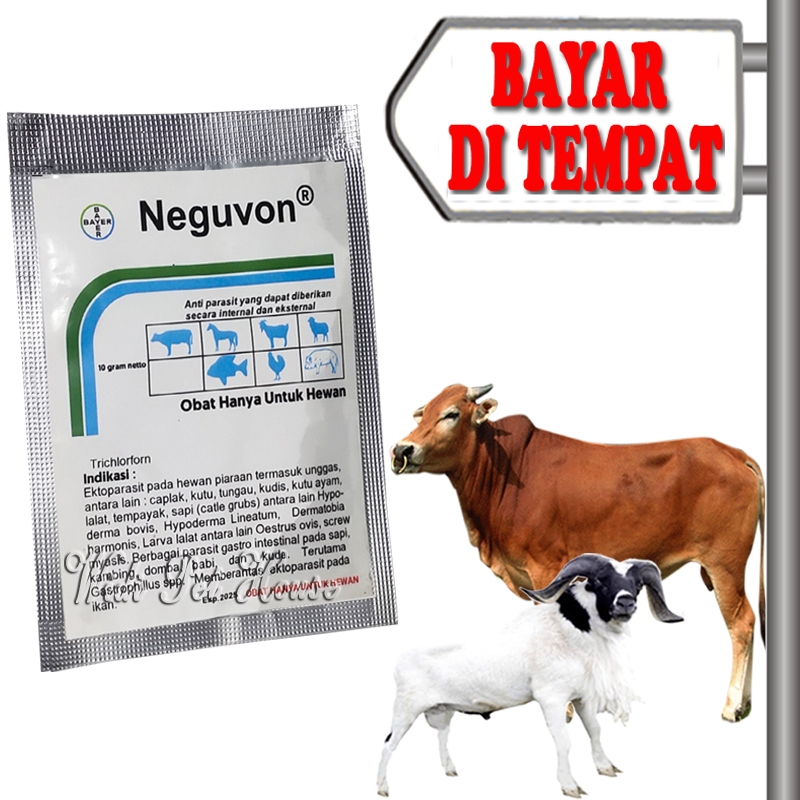 Obat Anti Kutu Sapi Kerbau Kambing Domba Semprot Neguvon