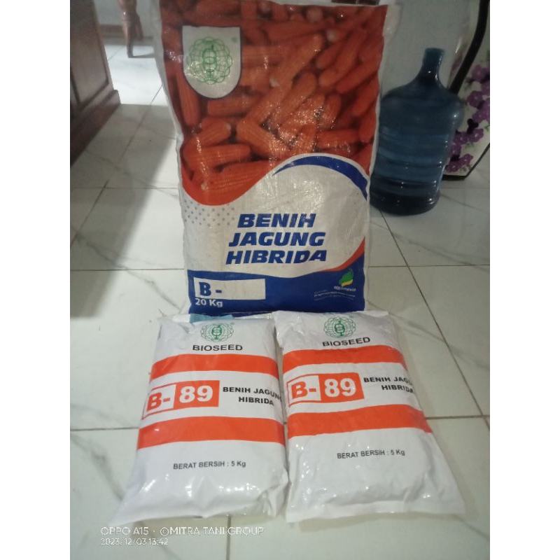 Benih Jagung Hibrida BIOSEED Kemasan 5 kg