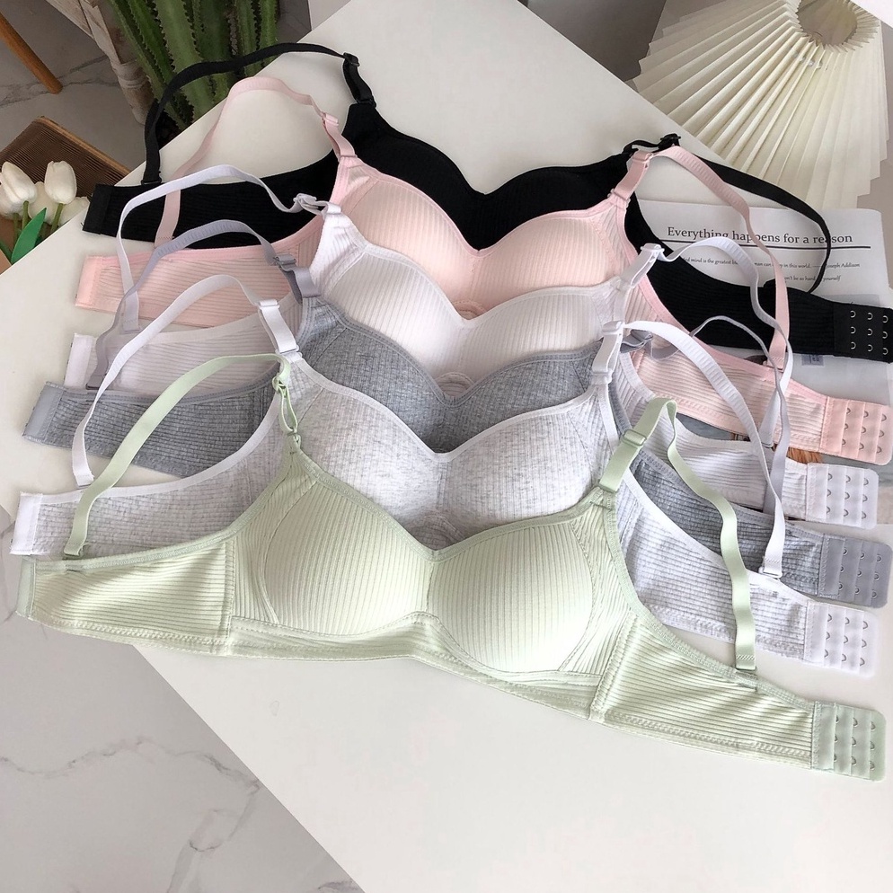 READY FYGALERYJAKARTA BRA556 Bra Motif Garis Lurus Push Up Style Senam Zumba Yoga Pakaian Dalam Wani