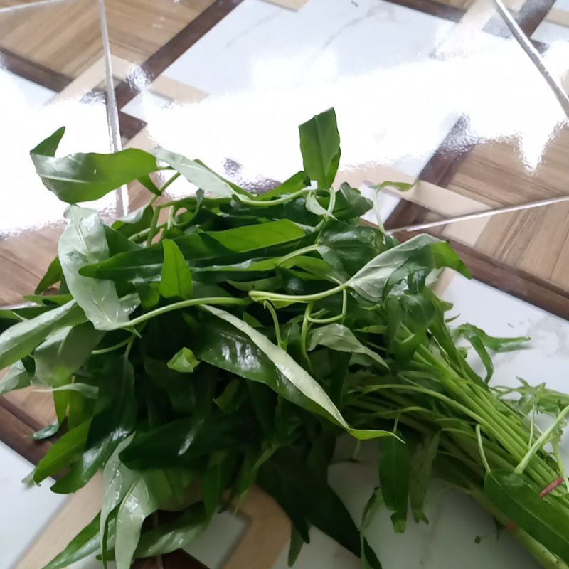 

kangkung segar