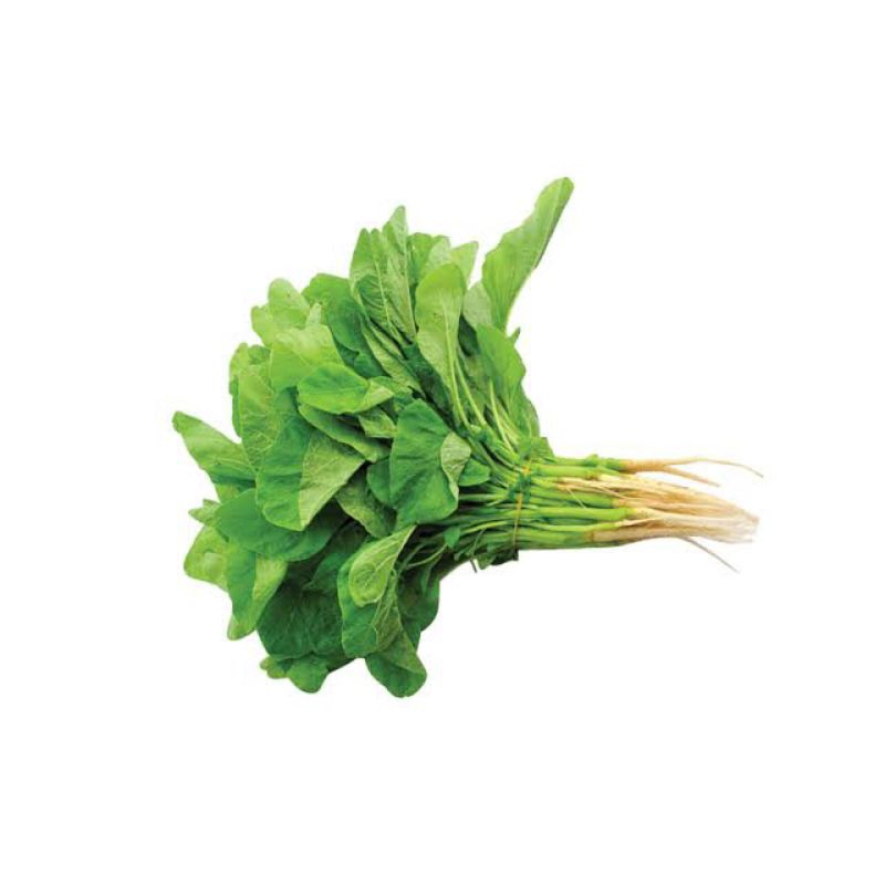 

SAYUR BAYAM