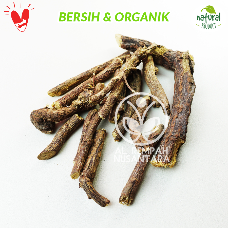 

Akar atau Kayu Legi Kering 50gr Asli Hutan