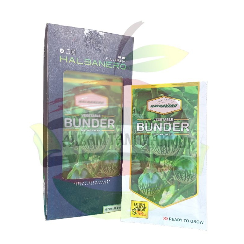 Benih Terong Bulat BUNDER isi 10 Gram HALBANERO