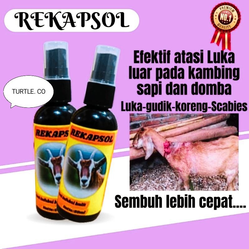Obat Scabies Kambing Domba Ternak Terlaris