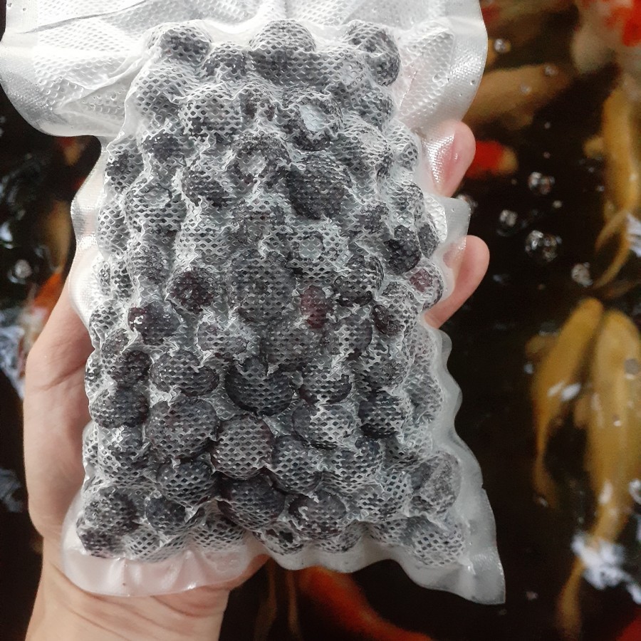 

Blueberry Import Frozen / Beku 500 gram