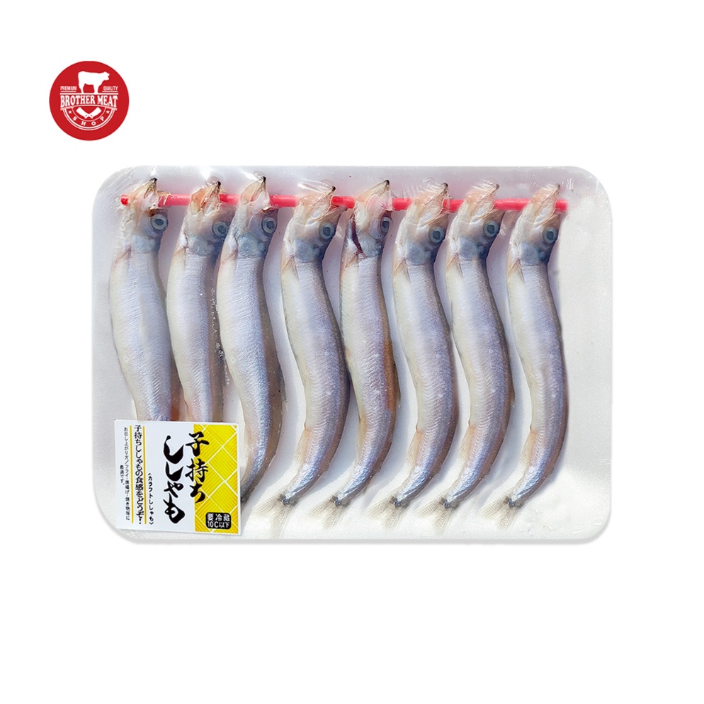 

WB8 Shisamo Fish / Ikan Capelin 160-190gr kl6jv