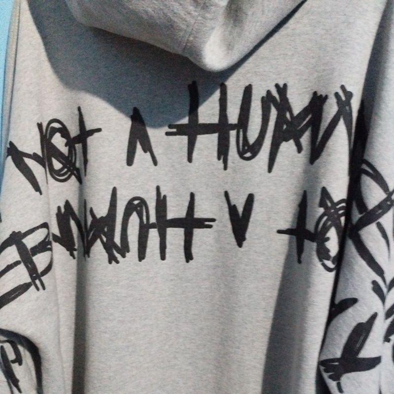 Hoodie Im Not A Human Being