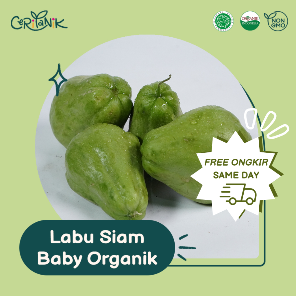 

Labu Siam Baby Organik 500 gram - Ceritanik - Baby Chayote Organic - Sayur Organik Murah - Sayur Organik Sehat - Sayur Organik Premium