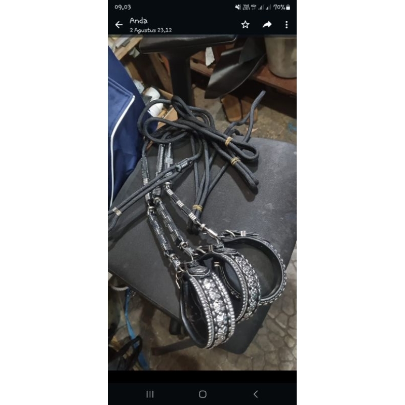 tali anjing berburu sumbar kulit nappa asli sambung2