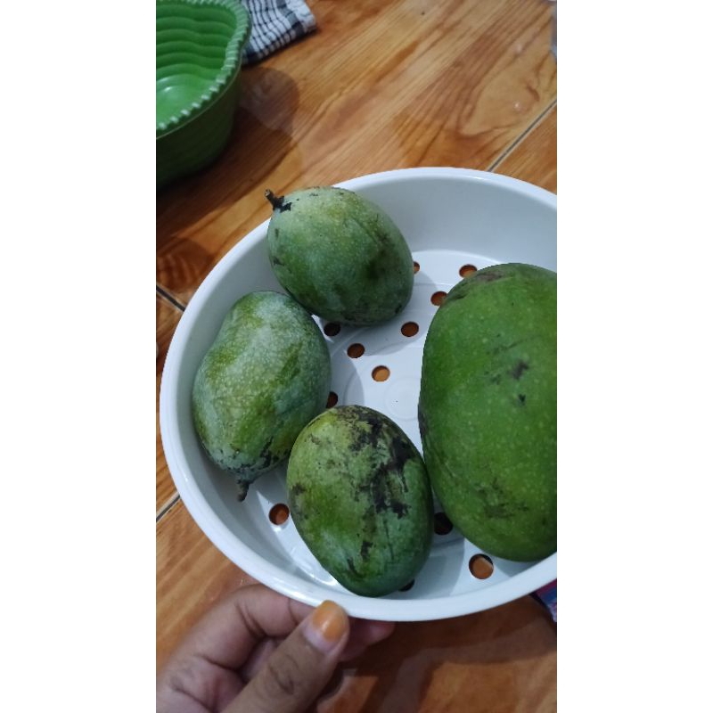 

Mangga Manalagi