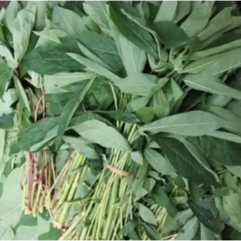 

Daun Singkong 500 g