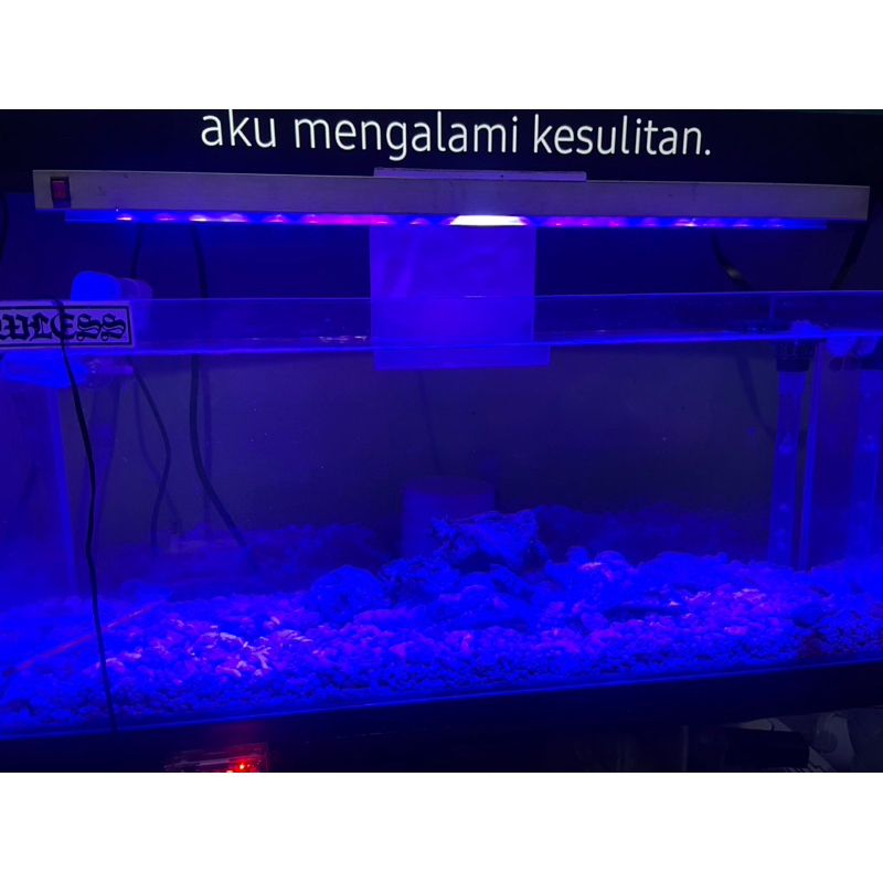 diy lampu hpl 40w minimalis untuk aquarium air laut 50 cm