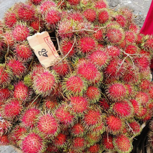 

Rambutan 2 Ikat