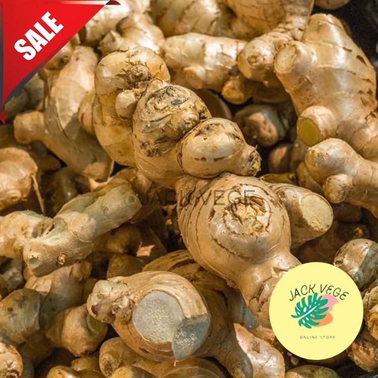 

Jahe Gajah/Besar Fresh 1 KG Murah