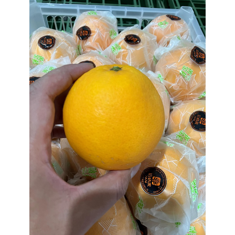 

Sunkist navel BUY 1 GET 1 FREE