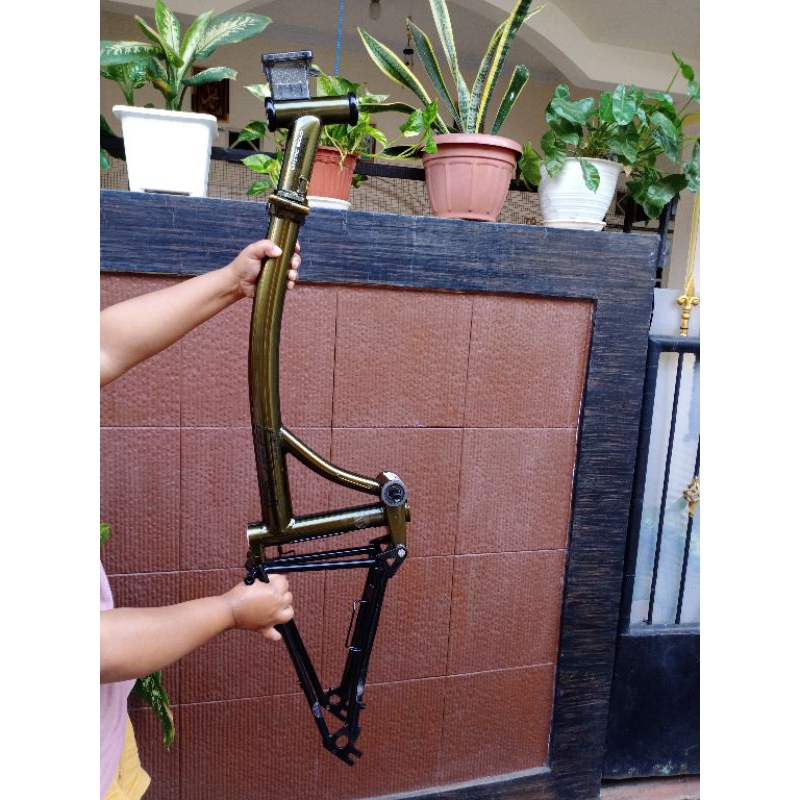 Frame pikes gen 2 Goldie