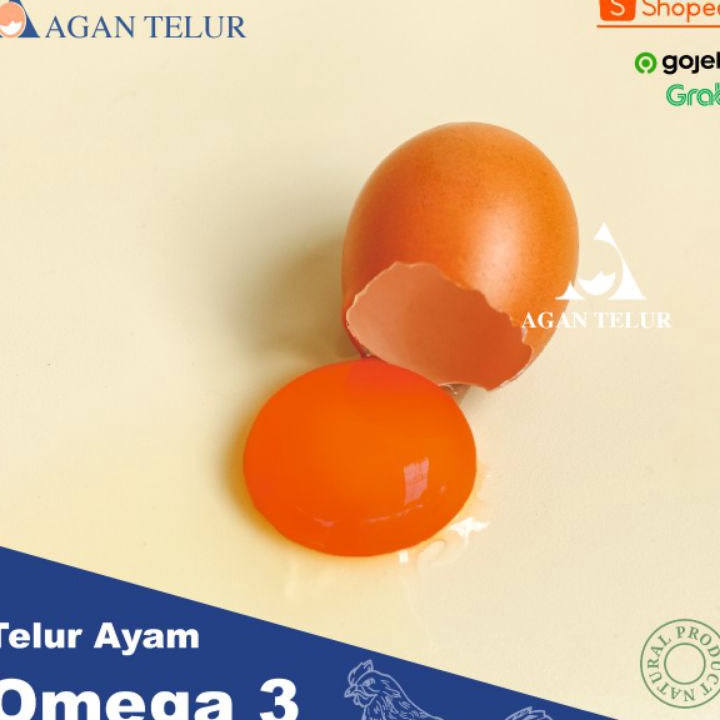 

Murah Banget Telur Negeri Omega 3 orange Fresh per kg (15 - 16 btr) ➭➱✥❄
