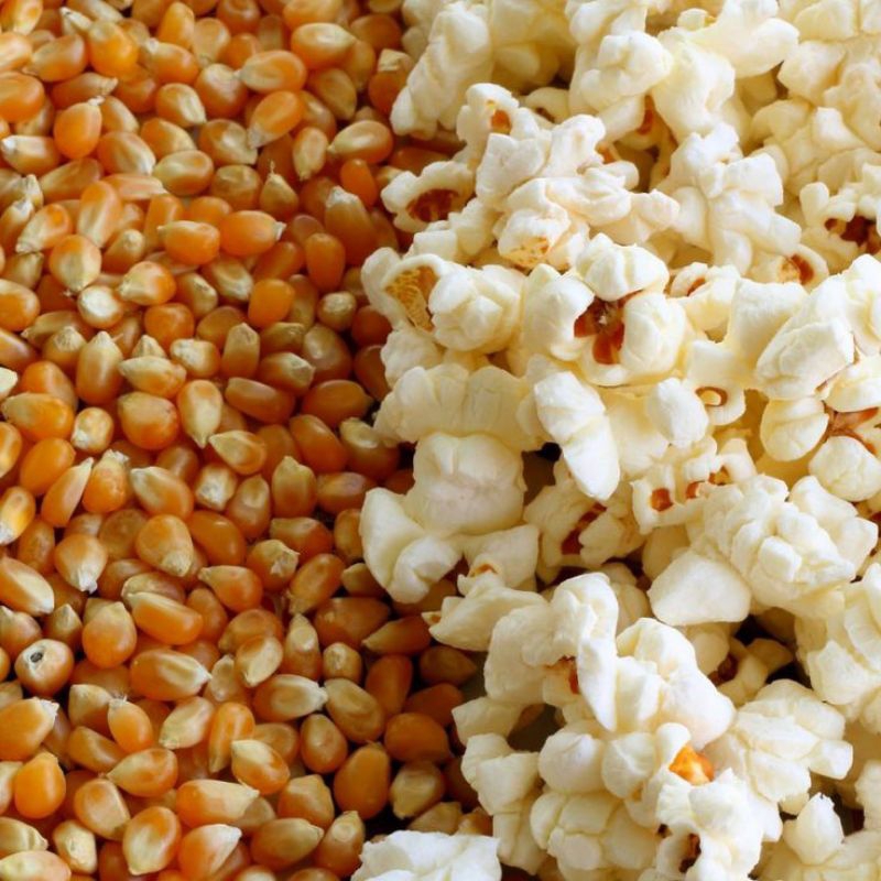 

Jagung popcorn 250gr