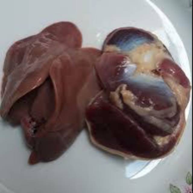 

Ati Ampla Fresh Sepasang