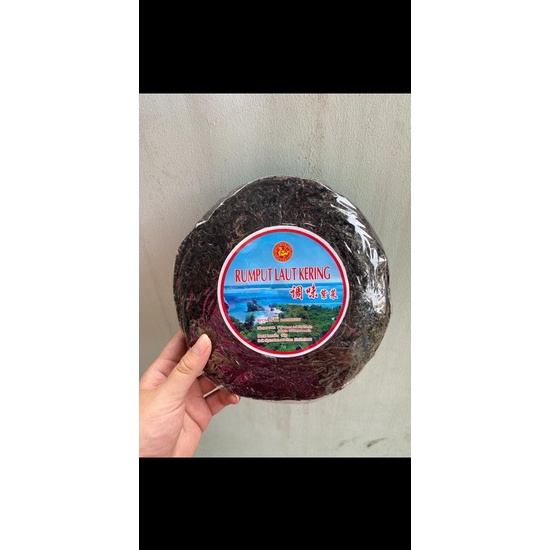 

[KODE PRODUK YPH0V9053] Rumput Laut Kering Chicai 40gr