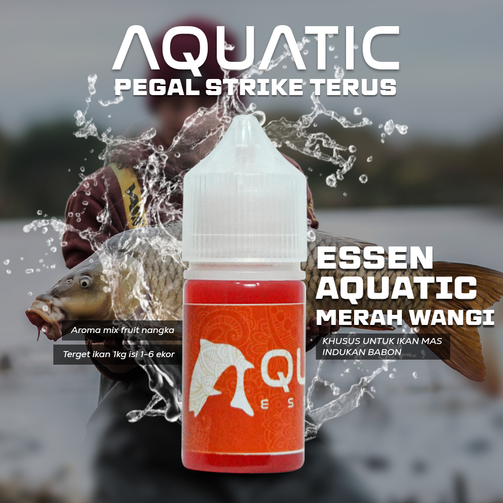 Essen Ikan Mas Indukan Babon Aquatic Mancing Harian Lomba Ikan Mas Umpan Wangi 30ml
