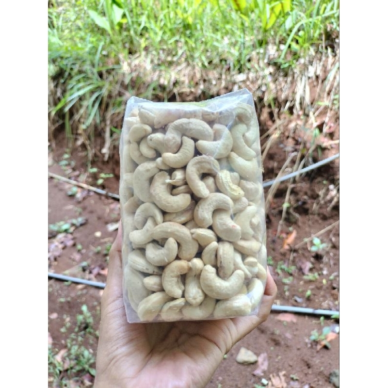 

kacang mete mentah wonogiri