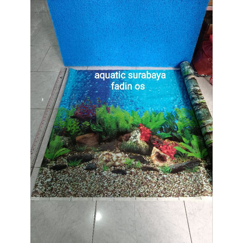 BACKGROUND AQUARIUM GAMBAR LATAR BELAKANG AQUARIUM LEBAR 1 M