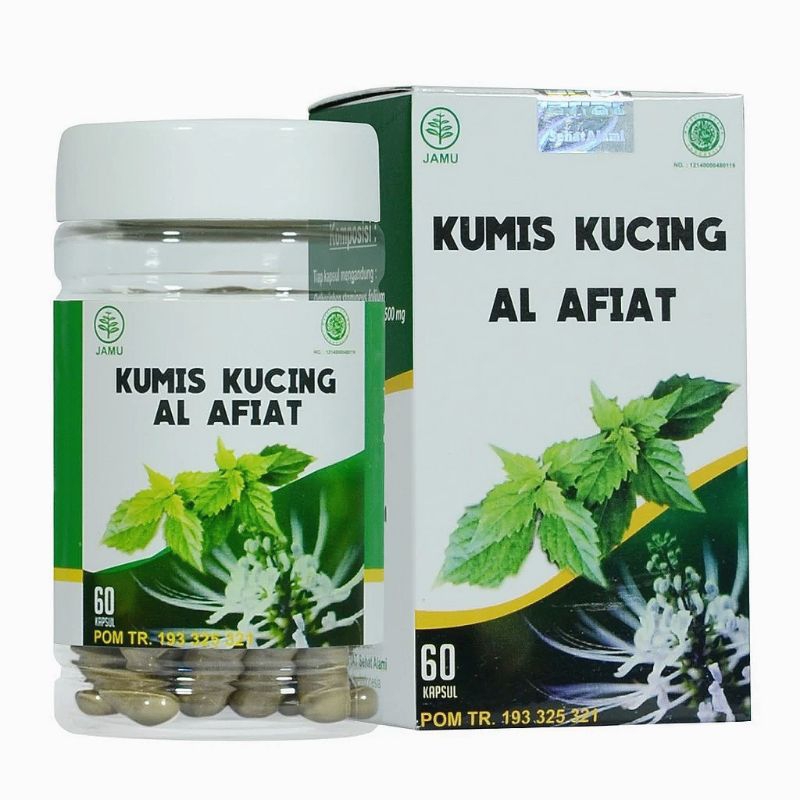 

Daun kumis kucing - Herbal mengatasi infeksi saluran kemih 60 kapsul